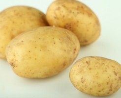 food--potatos--raw-potato--yellow_3223823.jpgじゃがいも
