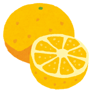 fruit_grapefruit2.pngグレープフルーツ