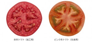赤トマト
