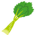 vegetable_celeryセロリ