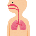 body_hai_jintai.png肺